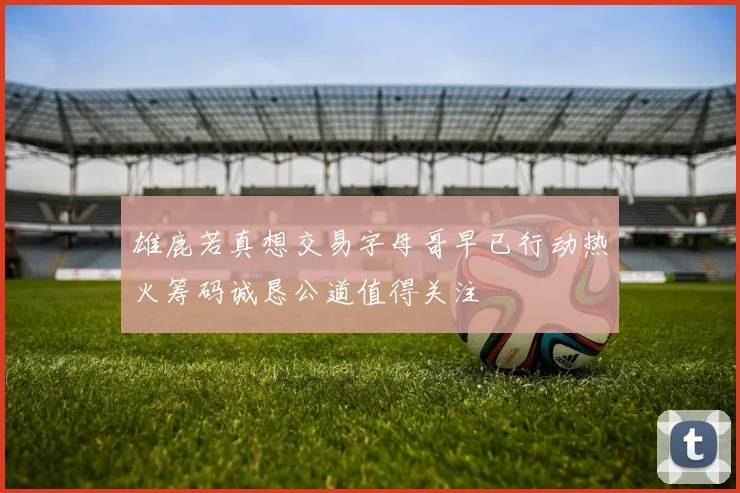 雄鹿若真想交易字母哥早已行动热火筹码诚恳公道值得关注